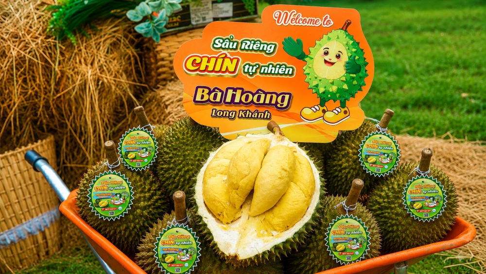 Sầu riêng chín tự nhiên vườn Bà Hoàng Long Khánh