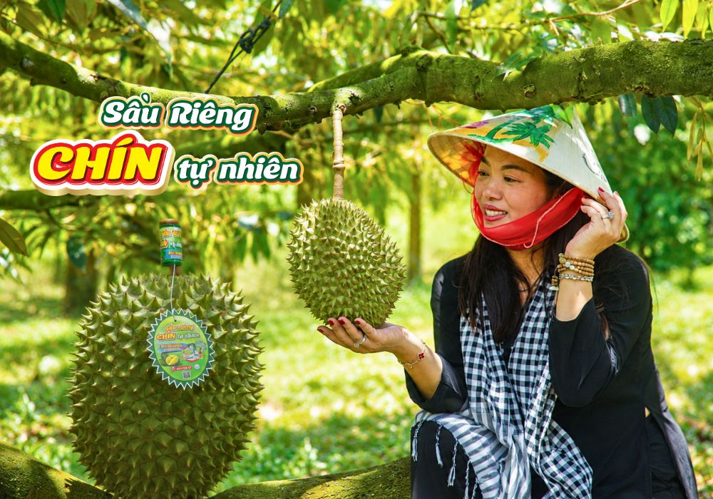 Sầu riêng chín tự nhiên là gì?