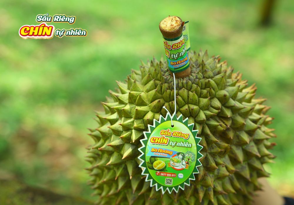 Dấu hiệu nhận biết sầu riêng chín tự nhiên