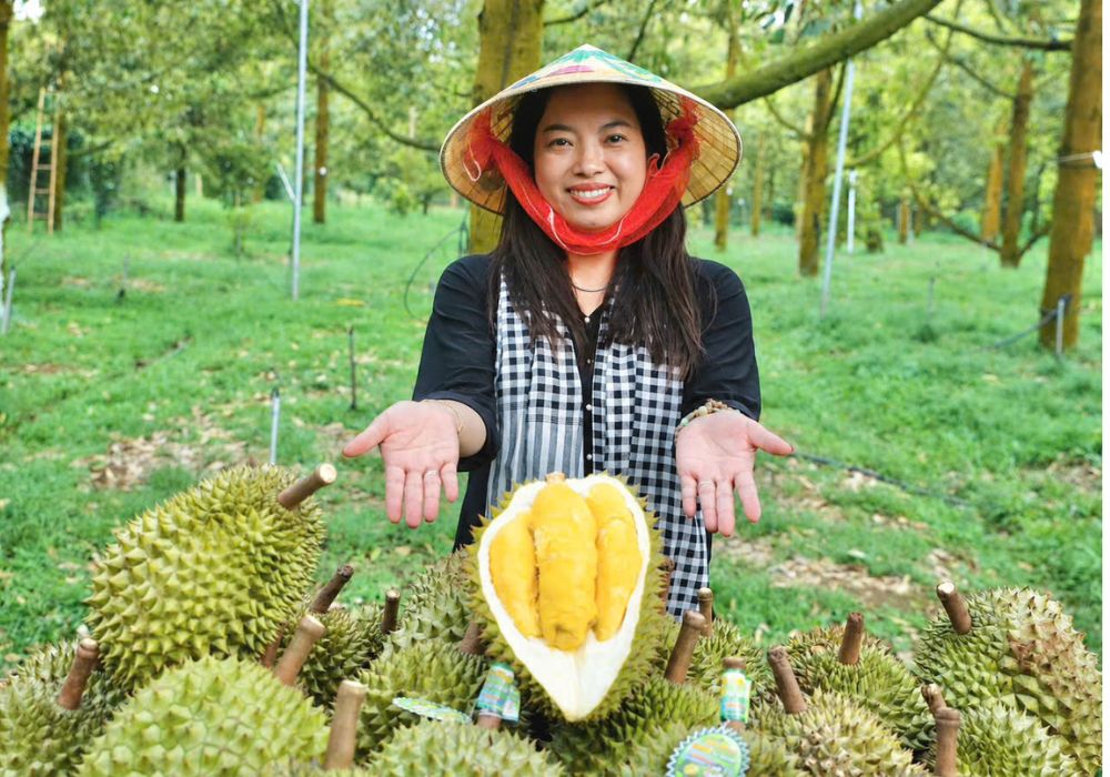 Trải nghiệm sầu riêng chín tự nhiên miễn phí tại khu vực Bà Hoàng Long Khánh