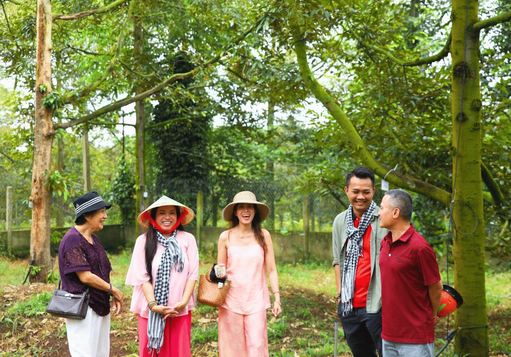 Sầu riêng bà Hoàng Long Khánh được các thực khách hàng tìm đến để xem mô hình trồng sầu riêng hữu cơ.
