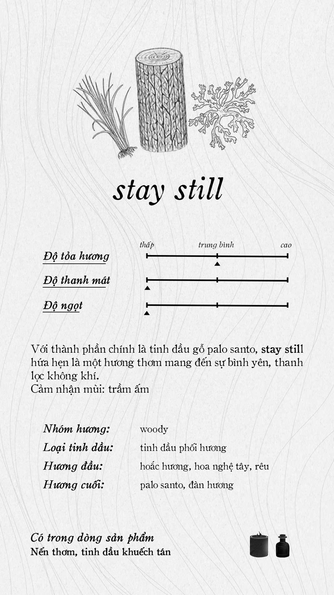 Tinh dầu nguyên chất - Essential/Fragrance Oils