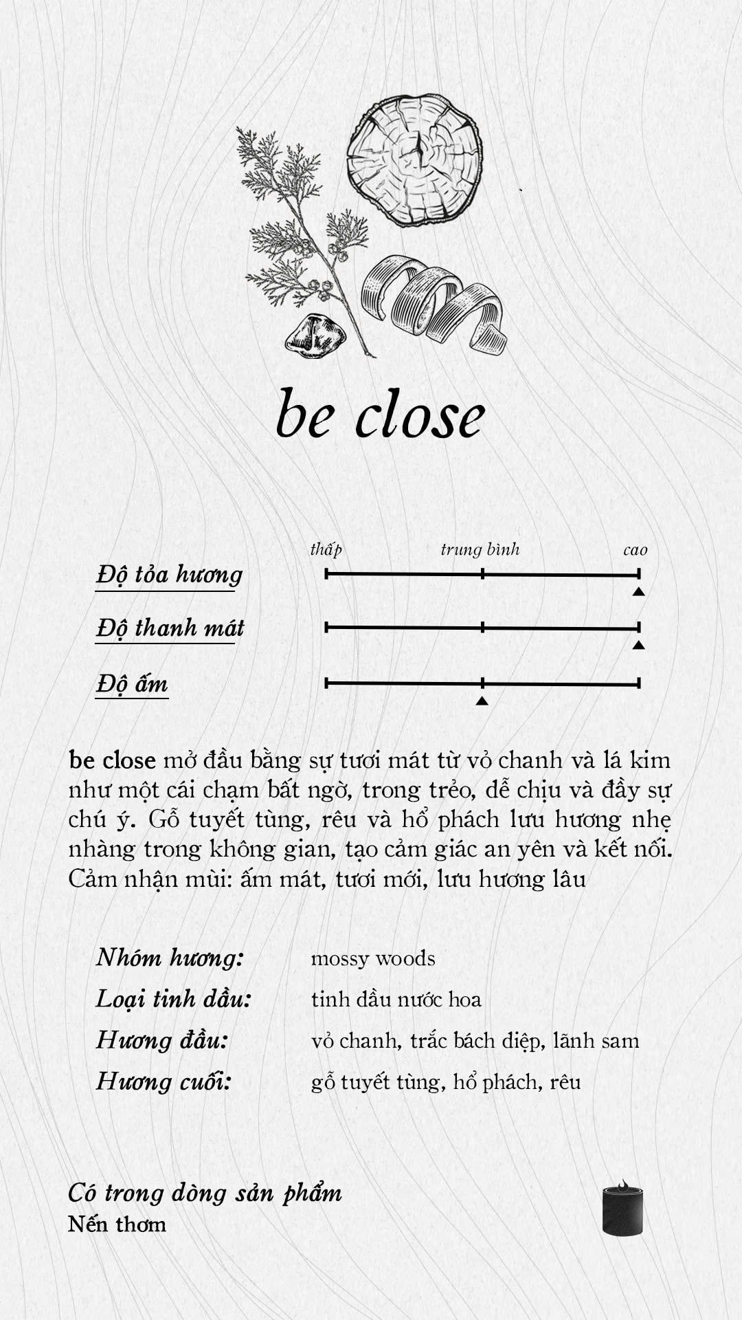 Tinh dầu nguyên chất - Essential/Fragrance Oils