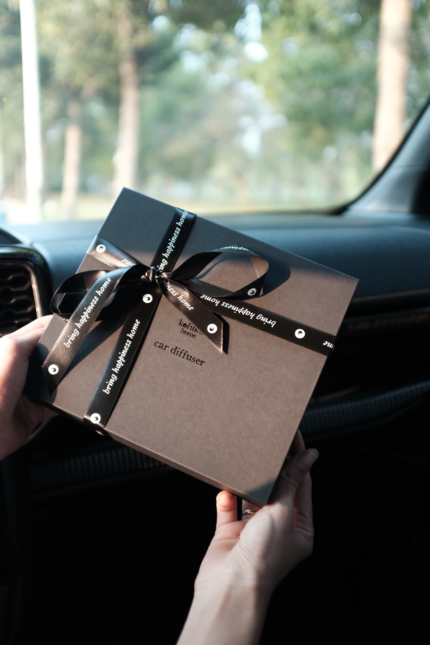 Bộ tinh dầu khuếch tán xe hơi hương gỗ - Car Diffuser - Woody scents