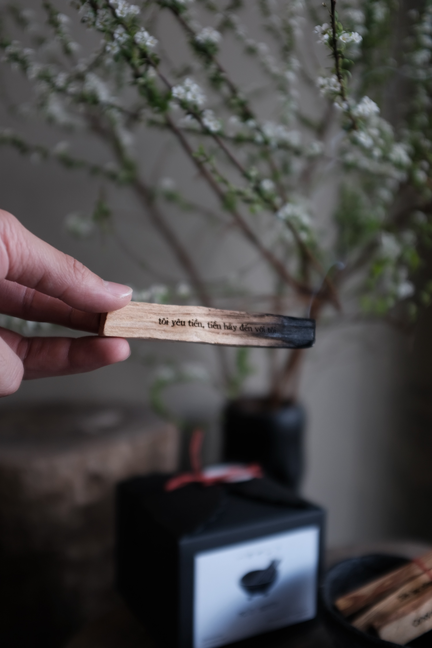 Bộ thanh gỗ trắc xanh Palo Santo (lớn) - Palo Santo (full set)