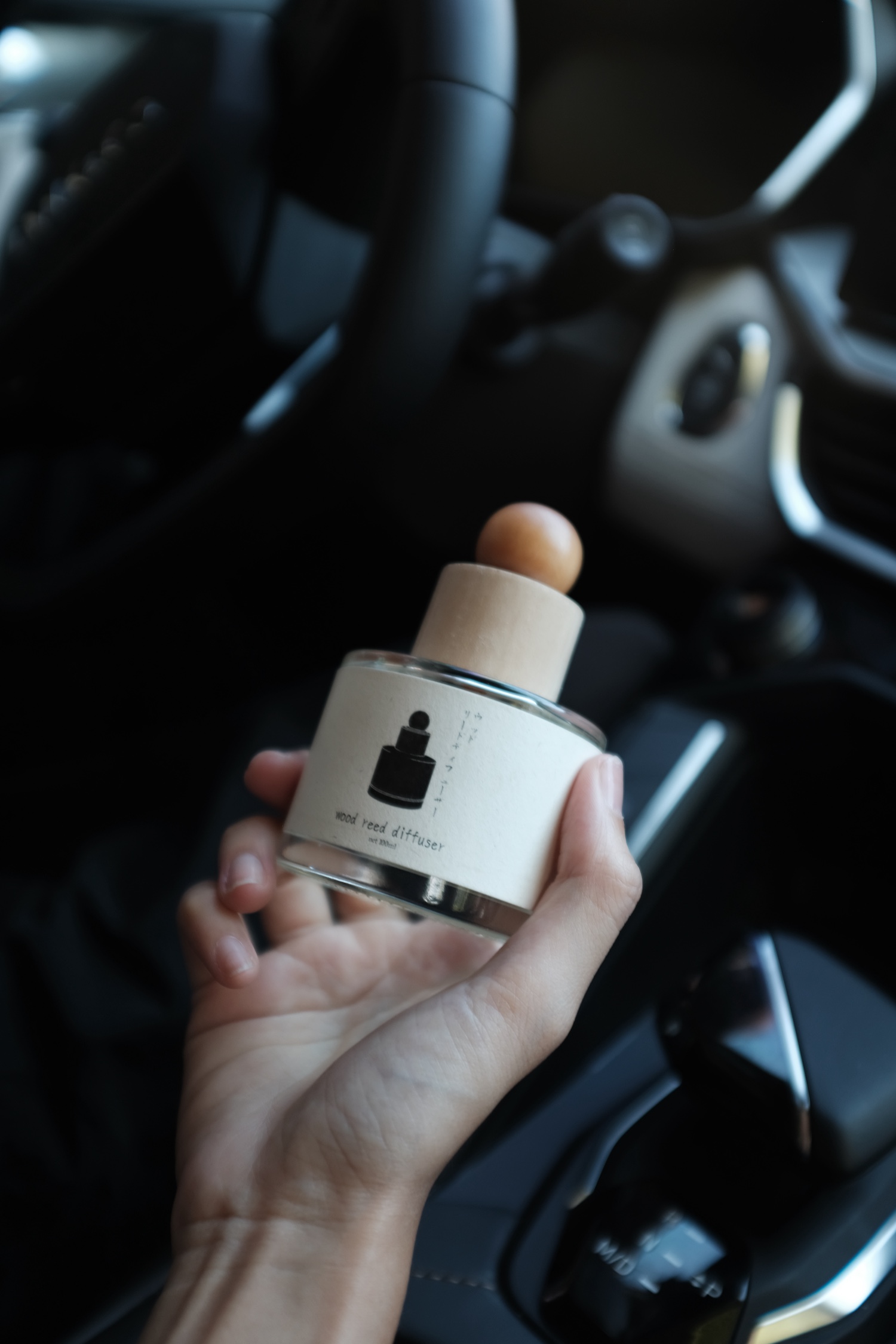Tinh dầu khuếch tán que gỗ 100ml (xe hơi)