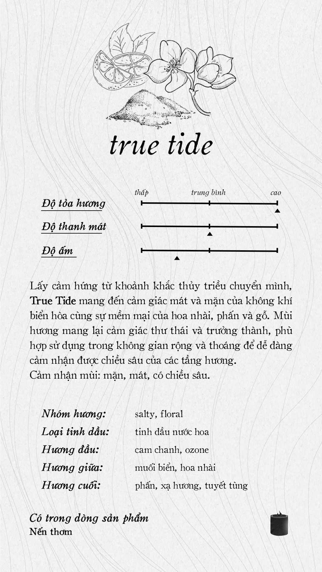 Nến thơm khắc tên Shiro 290ml - Shiro candle name engraved