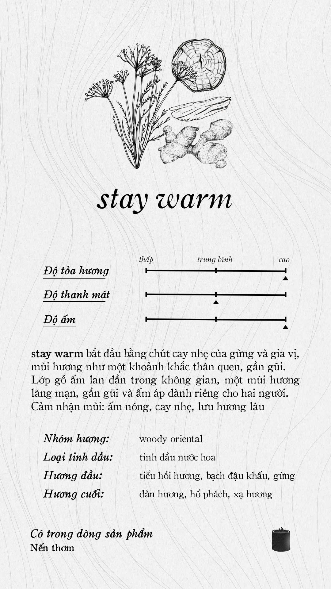 Nến thơm khắc tên Shiro 290ml - Shiro candle name engraved