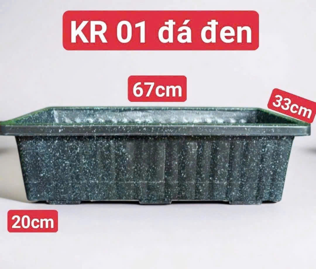 KHAY RAU 01