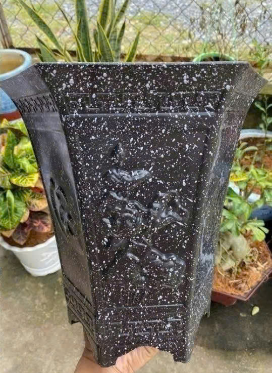 Chậu nhựa LG bông 1