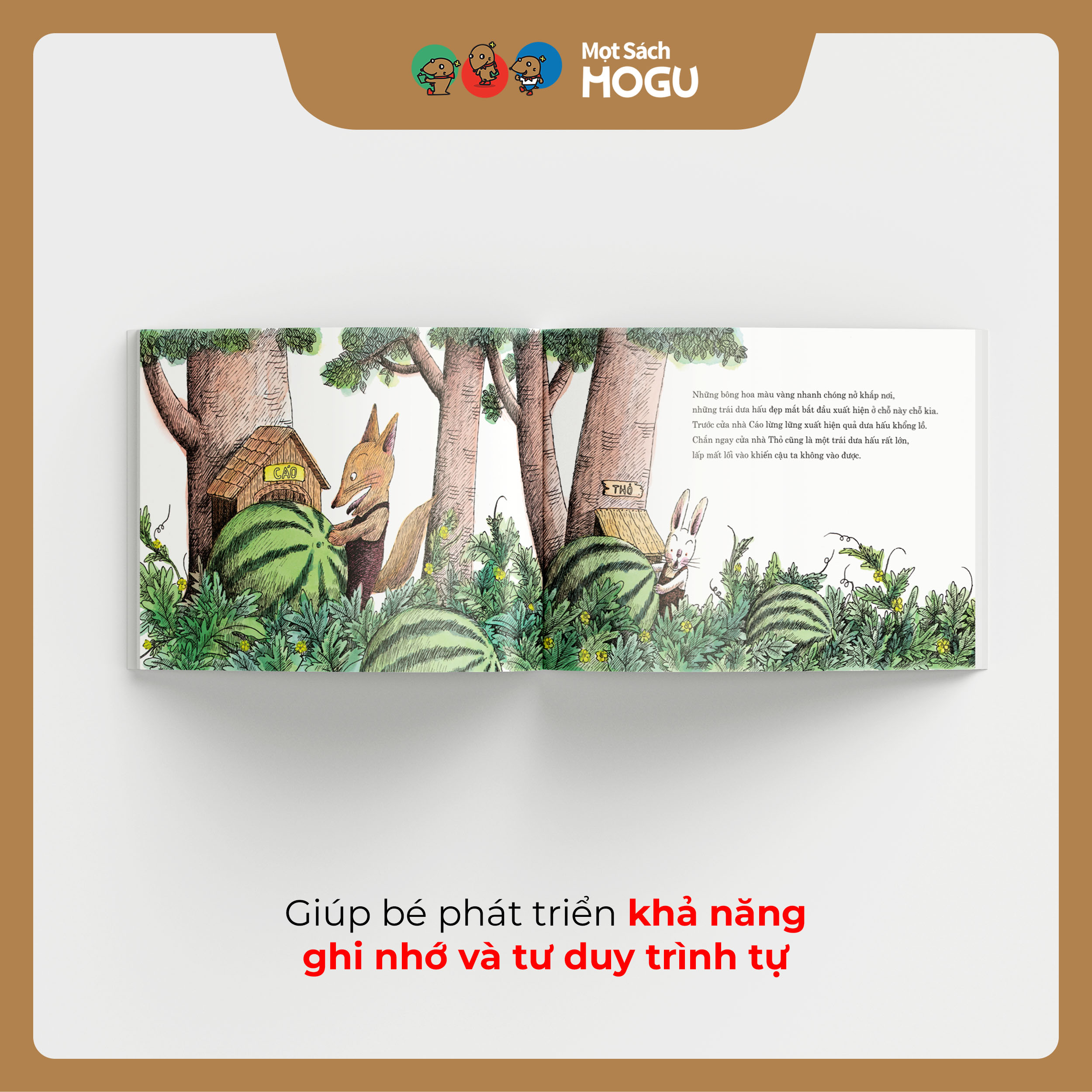 Hạt Dưa Hấu