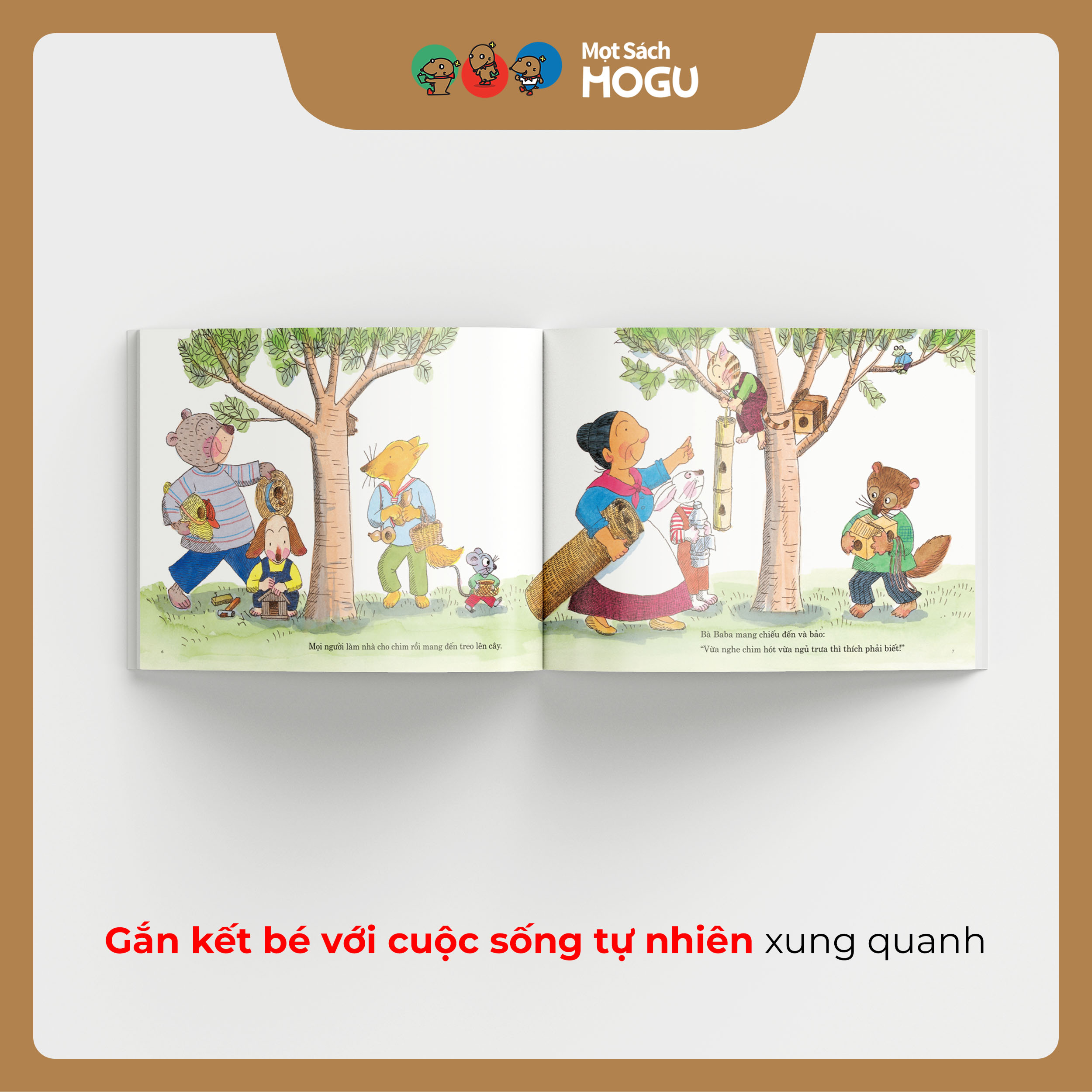 Nhà Của Chim