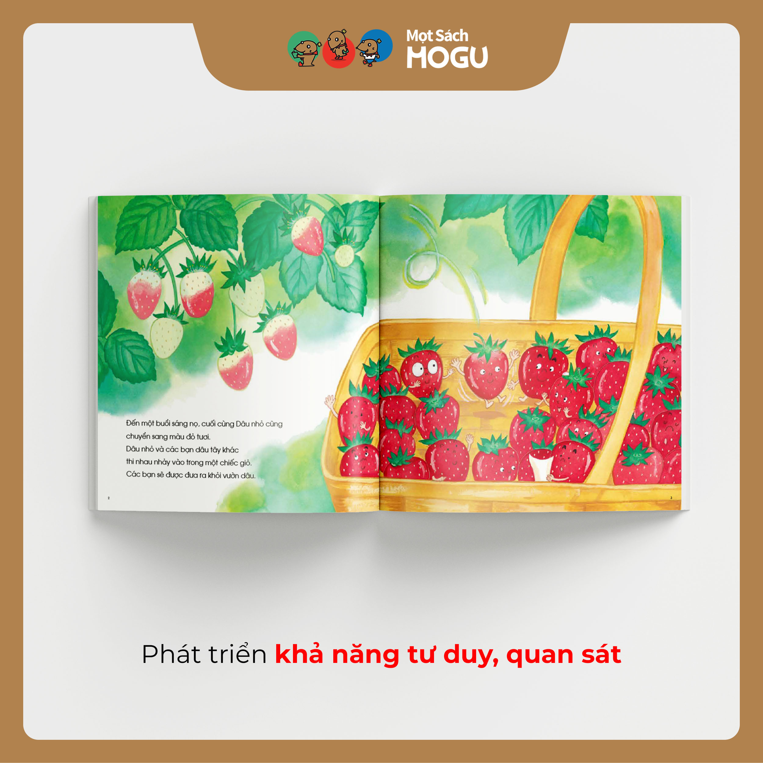 Dâu Nhỏ Ơi! Cậu Ở Đâu Thế?