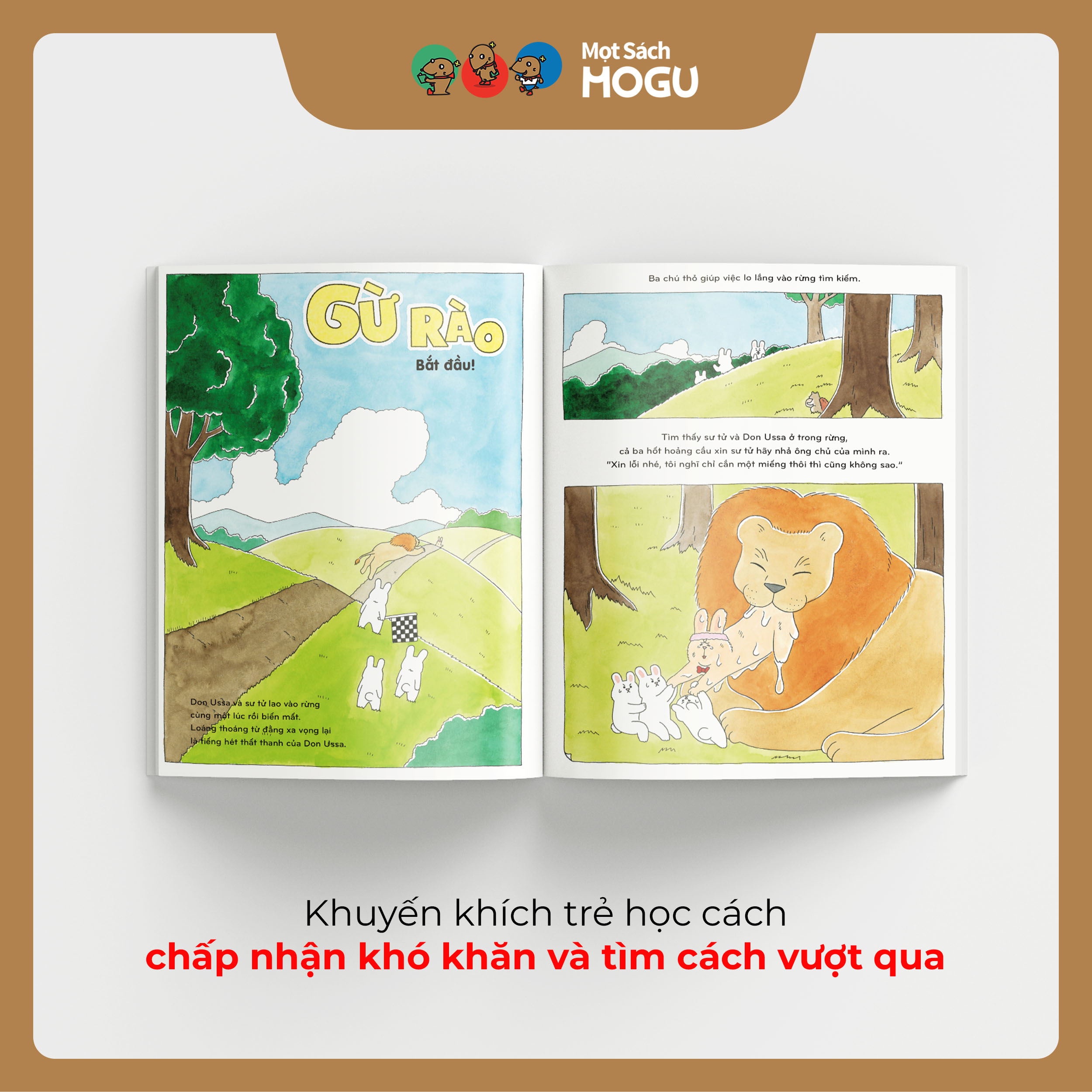 Chiến Lược Giảm Cân Của Thỏ Don Ussa