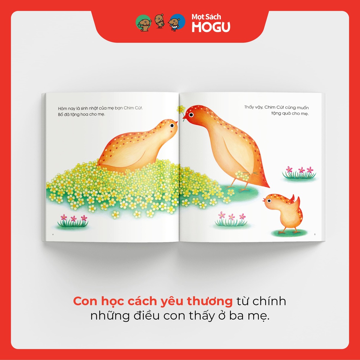 Bạn Chim Cút Tìm Quà Tặng Mẹ