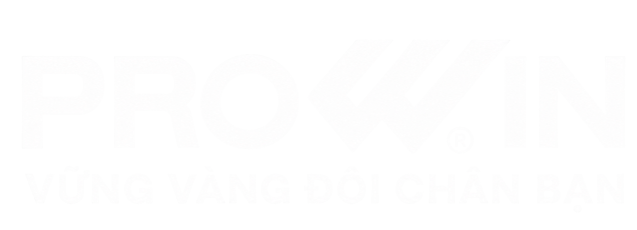 logo Prowin