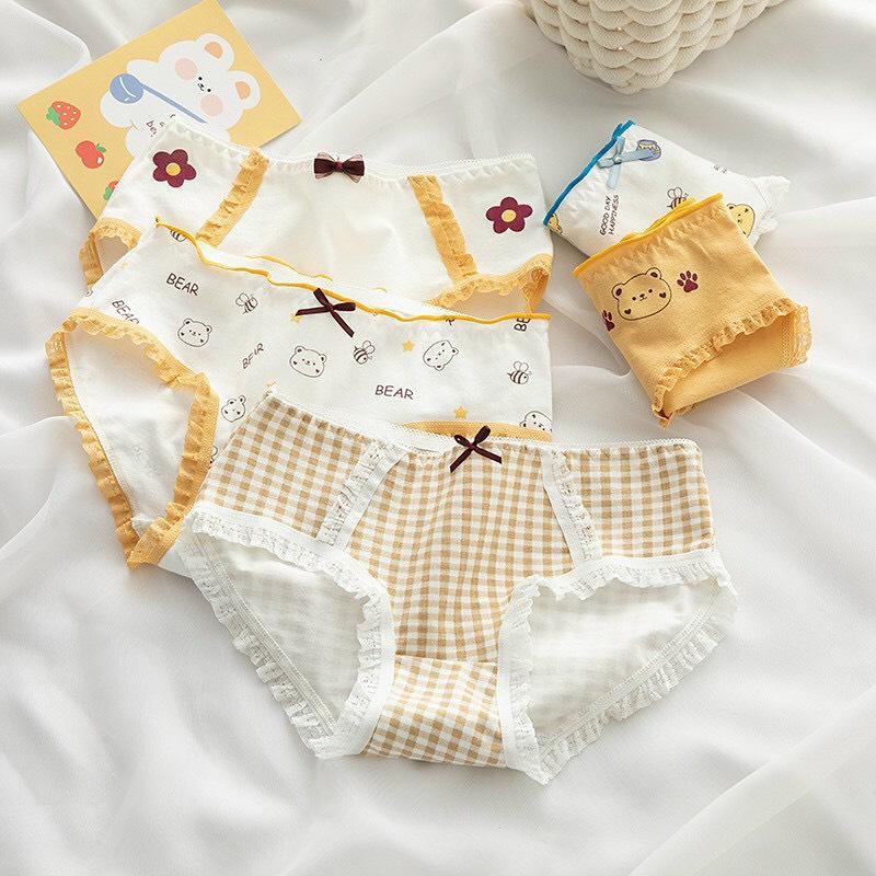Sét 5 Quần Lót Nữ Gấu Vàng Cute Chất Cotton Ren