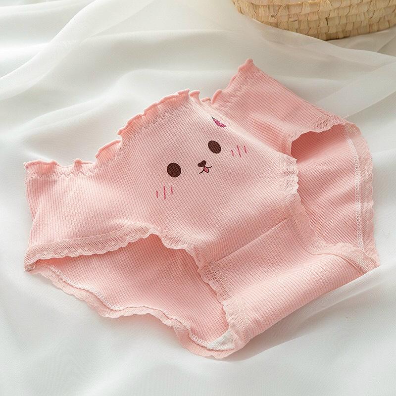 Sét 5 Quần Lót Nữ Cute Gấu Hồng Cotton  Women