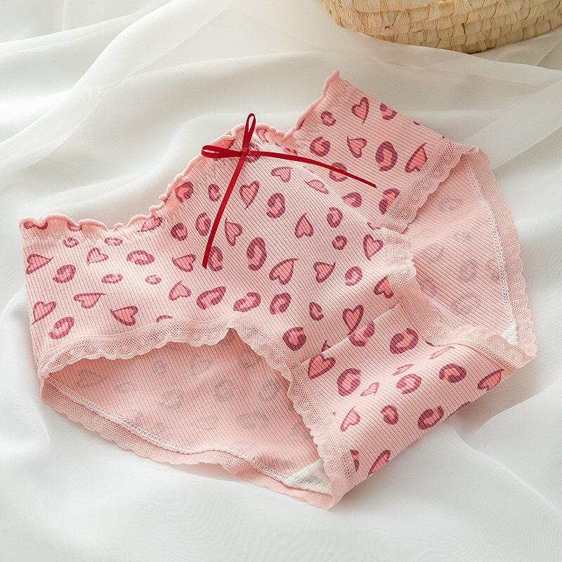 Sét 5 Quần Lót Nữ Cute Gấu Hồng Cotton  Women