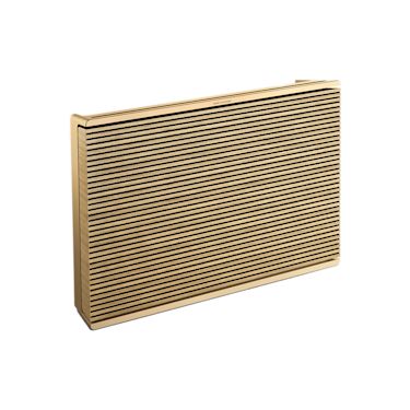 Loa Bang & Olufsen Beosound Level