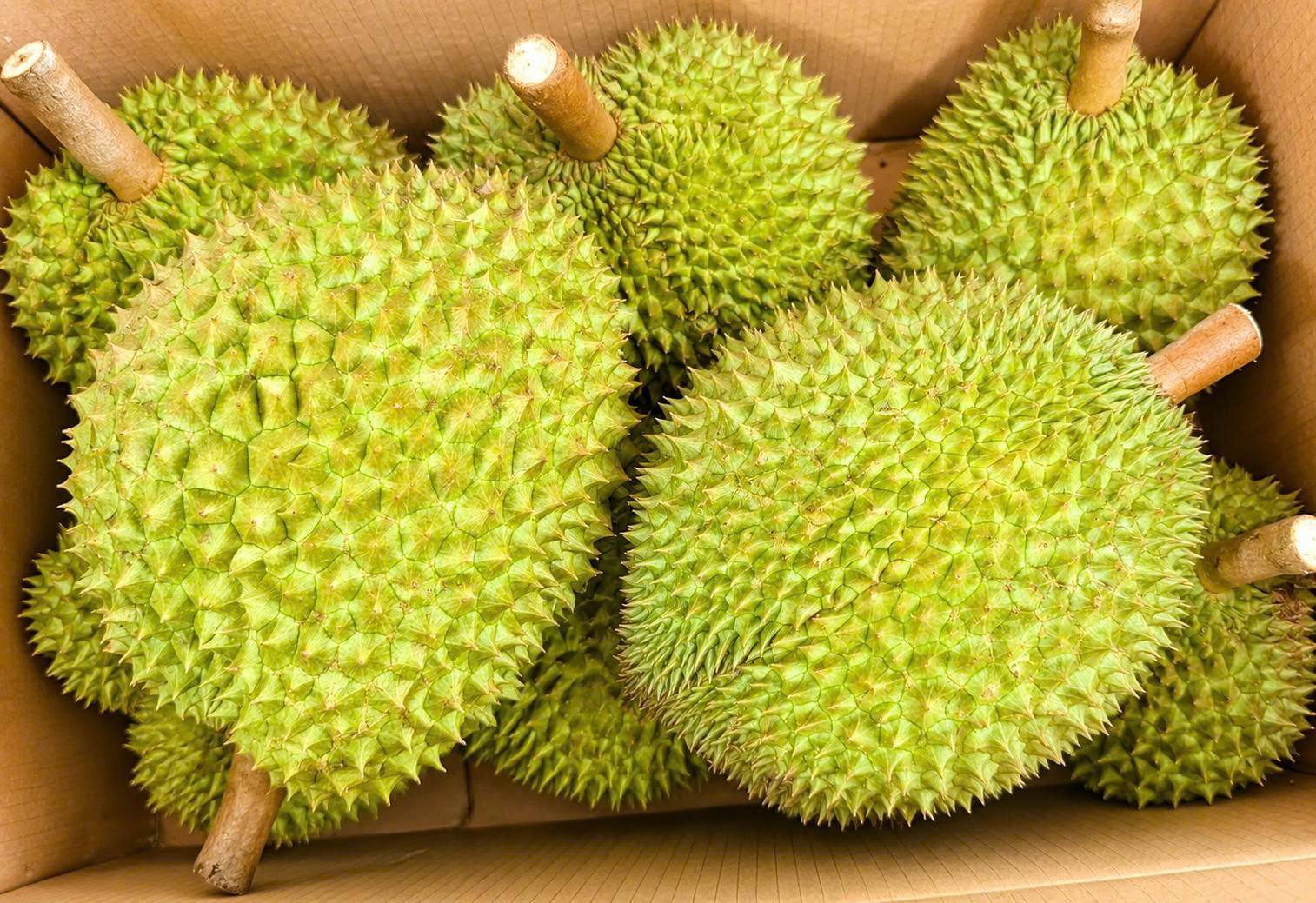Sầu riêng Việt Nam Loại 1 (giá theo kg)
