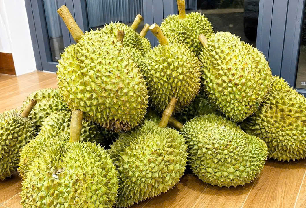 Sầu riêng Việt Nam Loại 1 (giá theo kg)