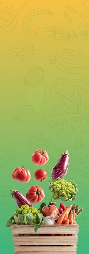 Sản phẩm nổi bật trong farm