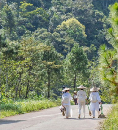 Cáp treo xuyên đại ngàn