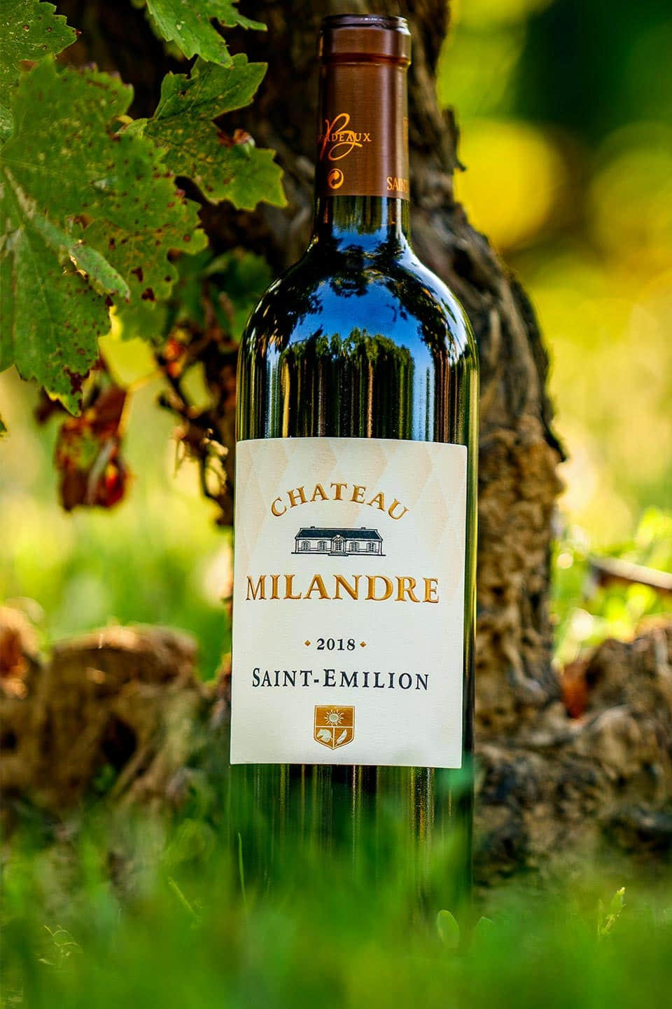 Chateau Milandre Saint-Émilion Grand Cru 2020