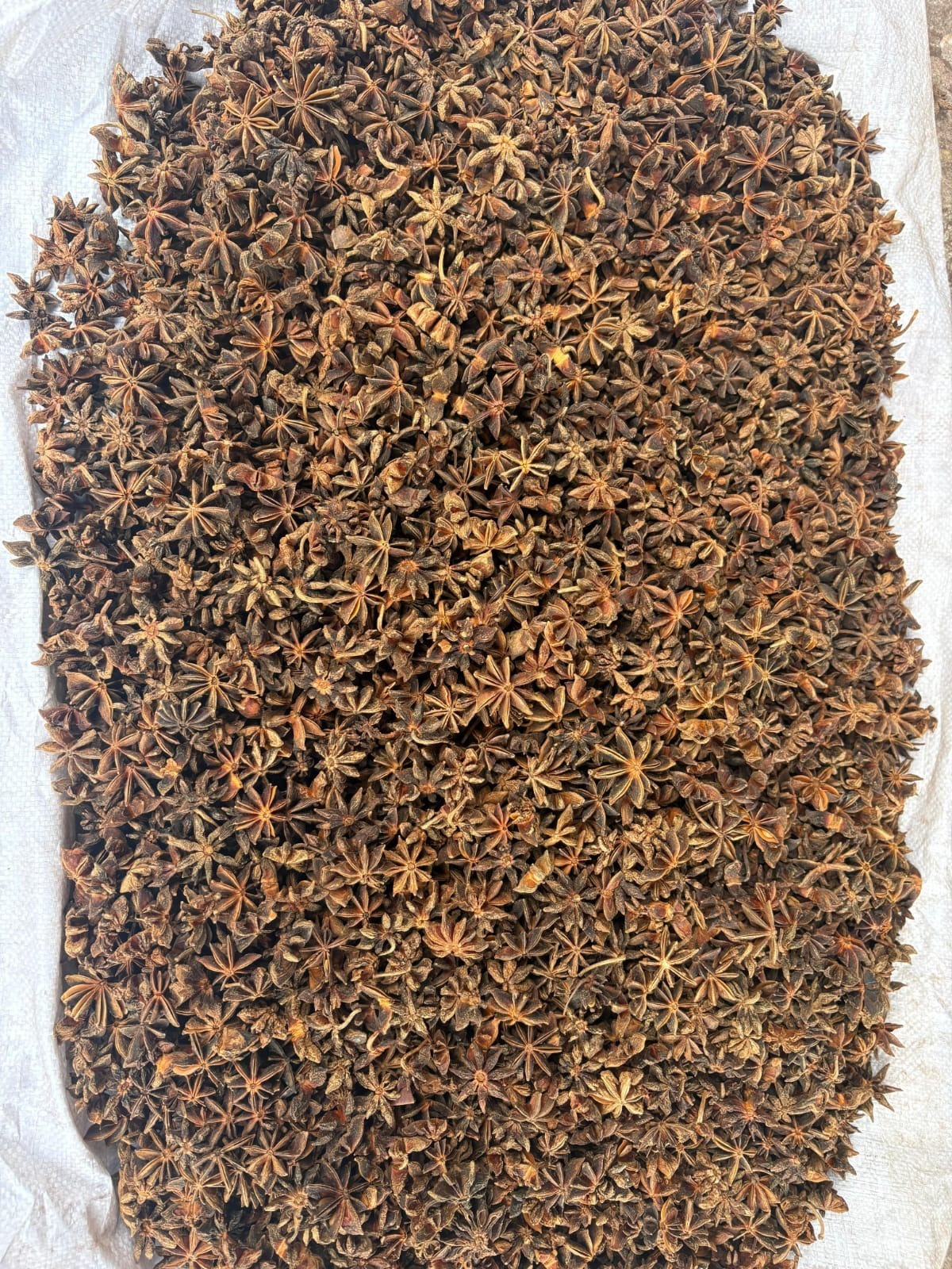 Natural spring star anise