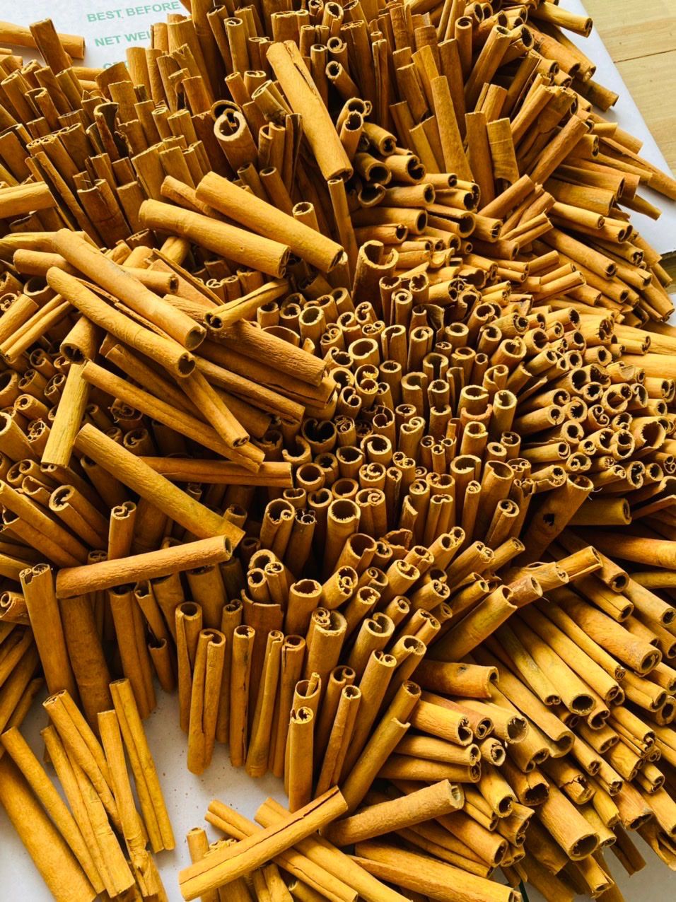 Cassia stick