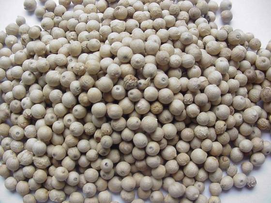 White pepper DW