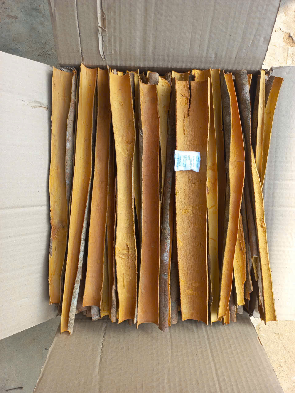 Split cassia
