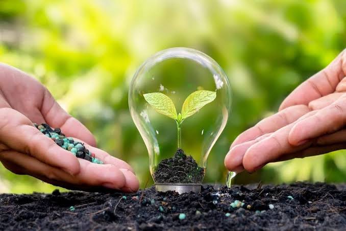 Bí Quyết Sử Dụng Phân Bón Vi Sinh Đạt Hiệu Quả Tối Đa Trong Canh Tác Sạch
