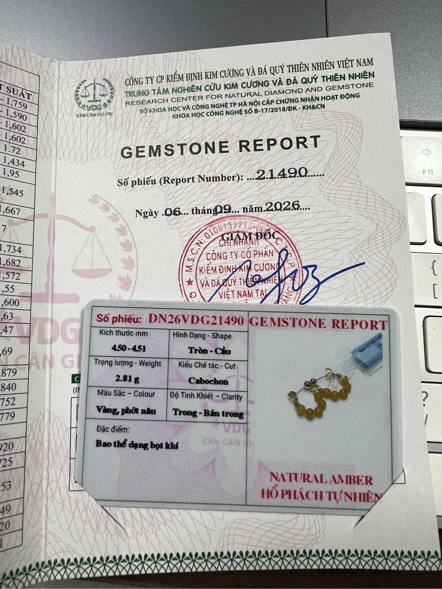 Bông tai chuỗi hạt Hổ phách Vàng 4.5 li