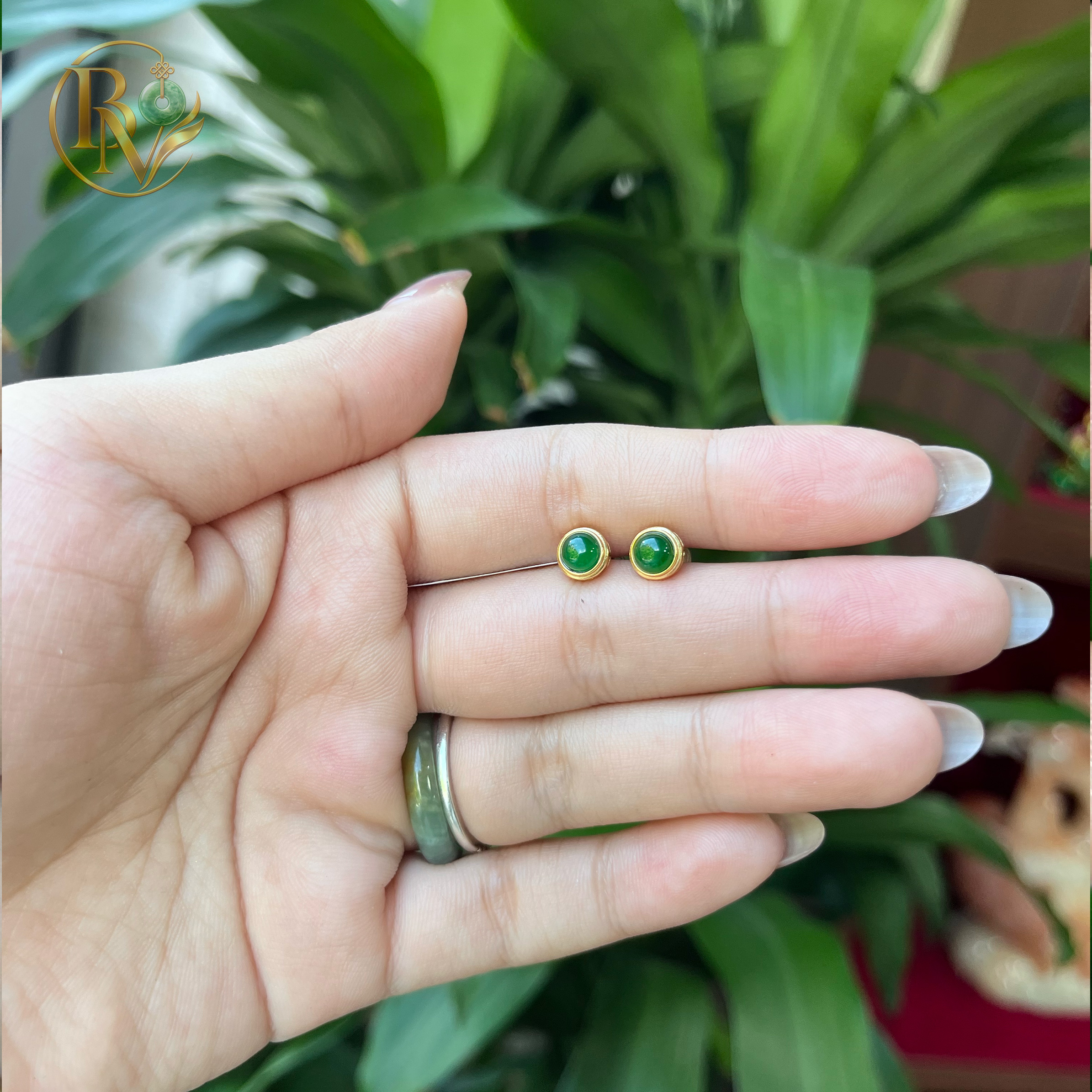 Bông tai Ngọc Phỉ Thuý Type A Lục Lam
