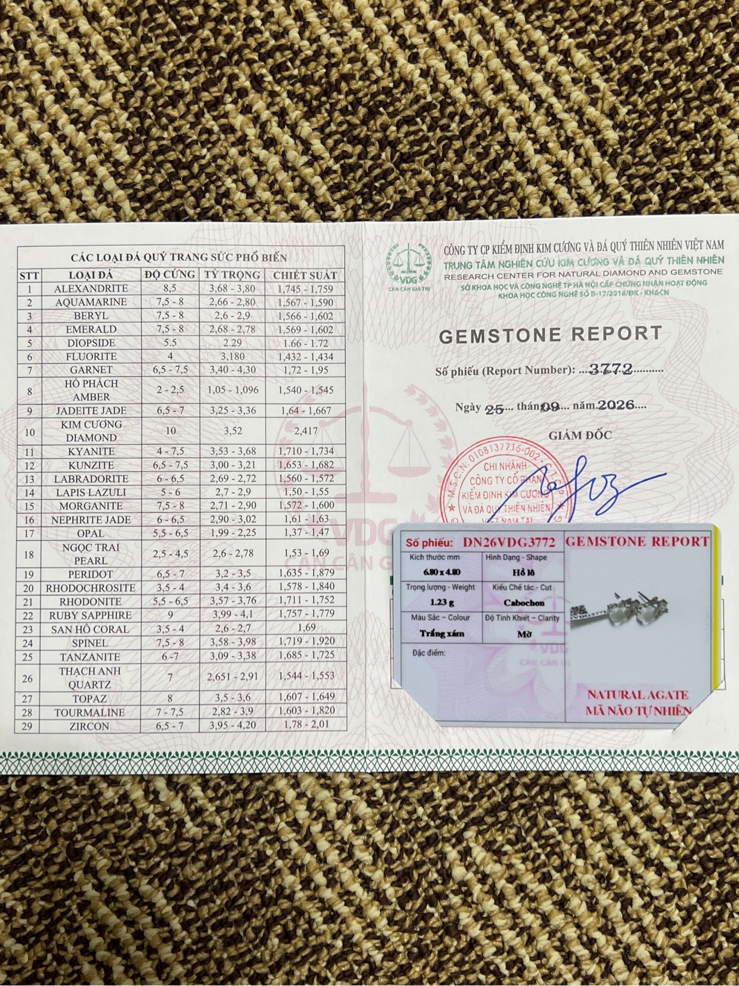 Bông tai Mã Não tự nhiên Hồ Lô mix charm