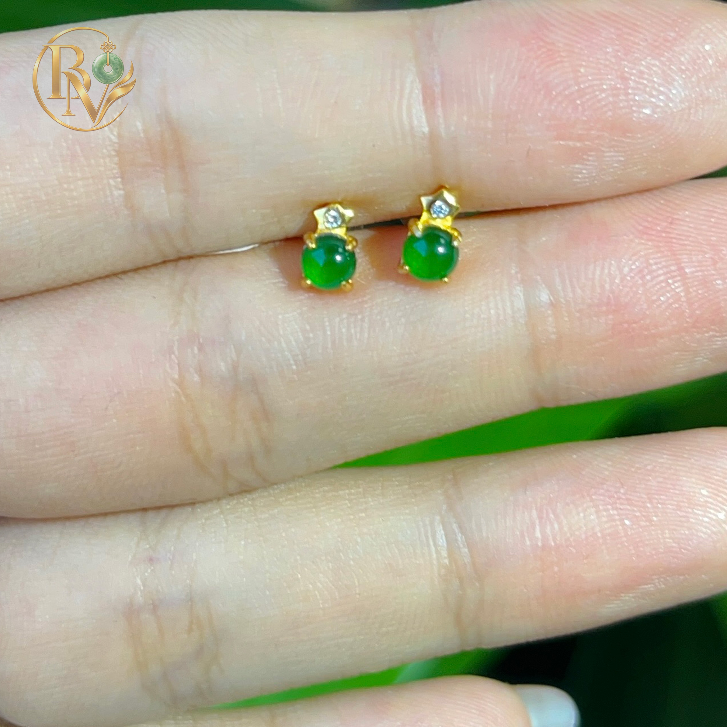 Bông tai Lục Lam Ngọc Phỉ Thuý Type A