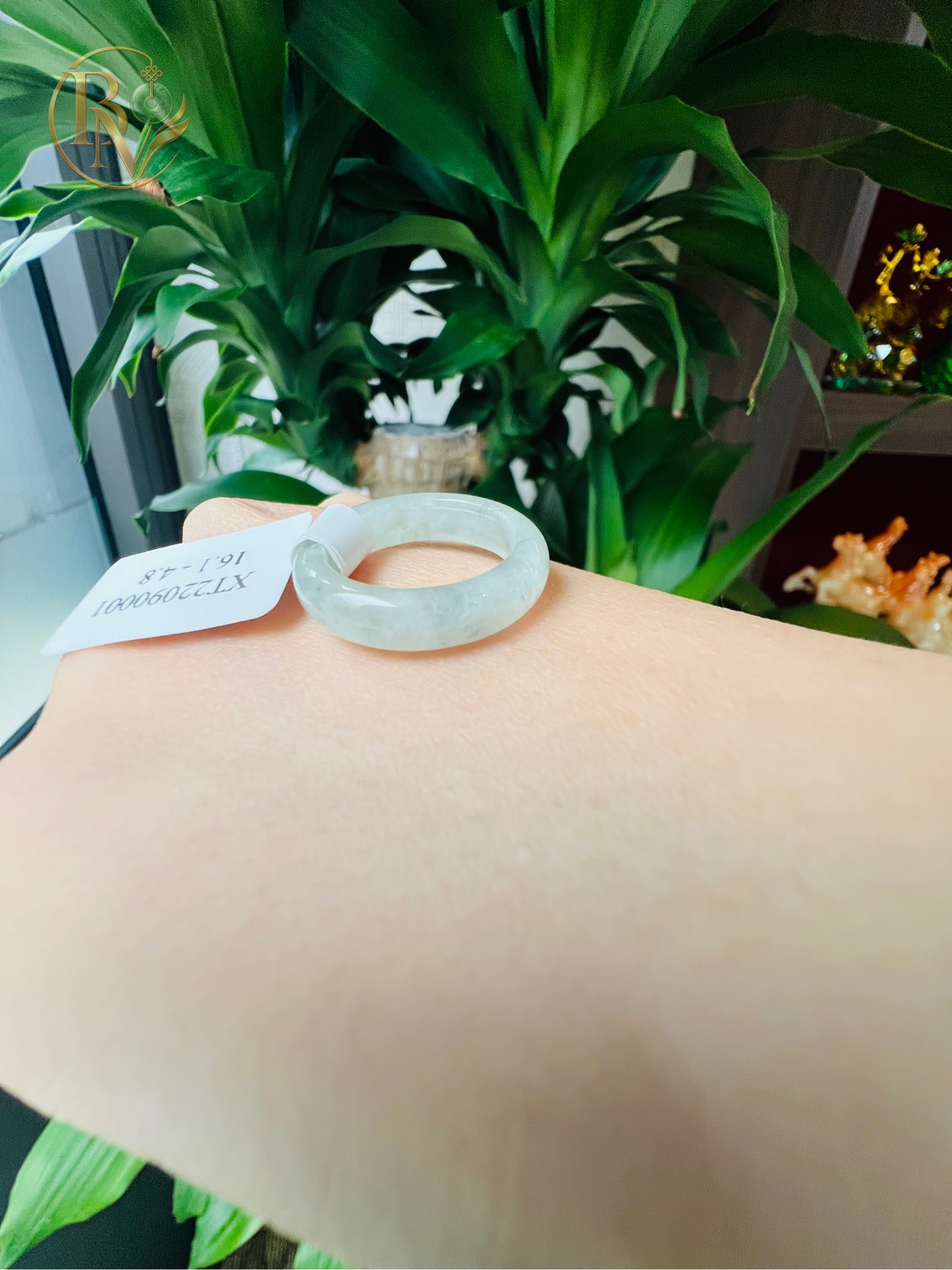 Nhẫn bản hẹ Ngọc Phỉ Thuý Xanh Táo ni nhiều size