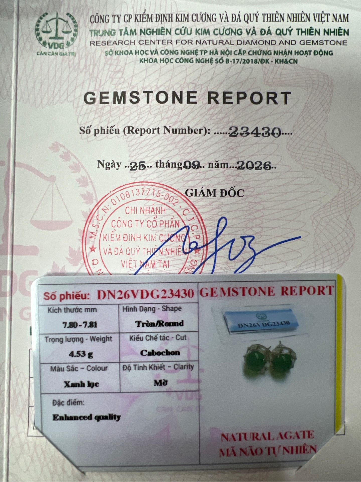 Bông tai Mã Não Lục Lam mặt cầu tròn 7.8