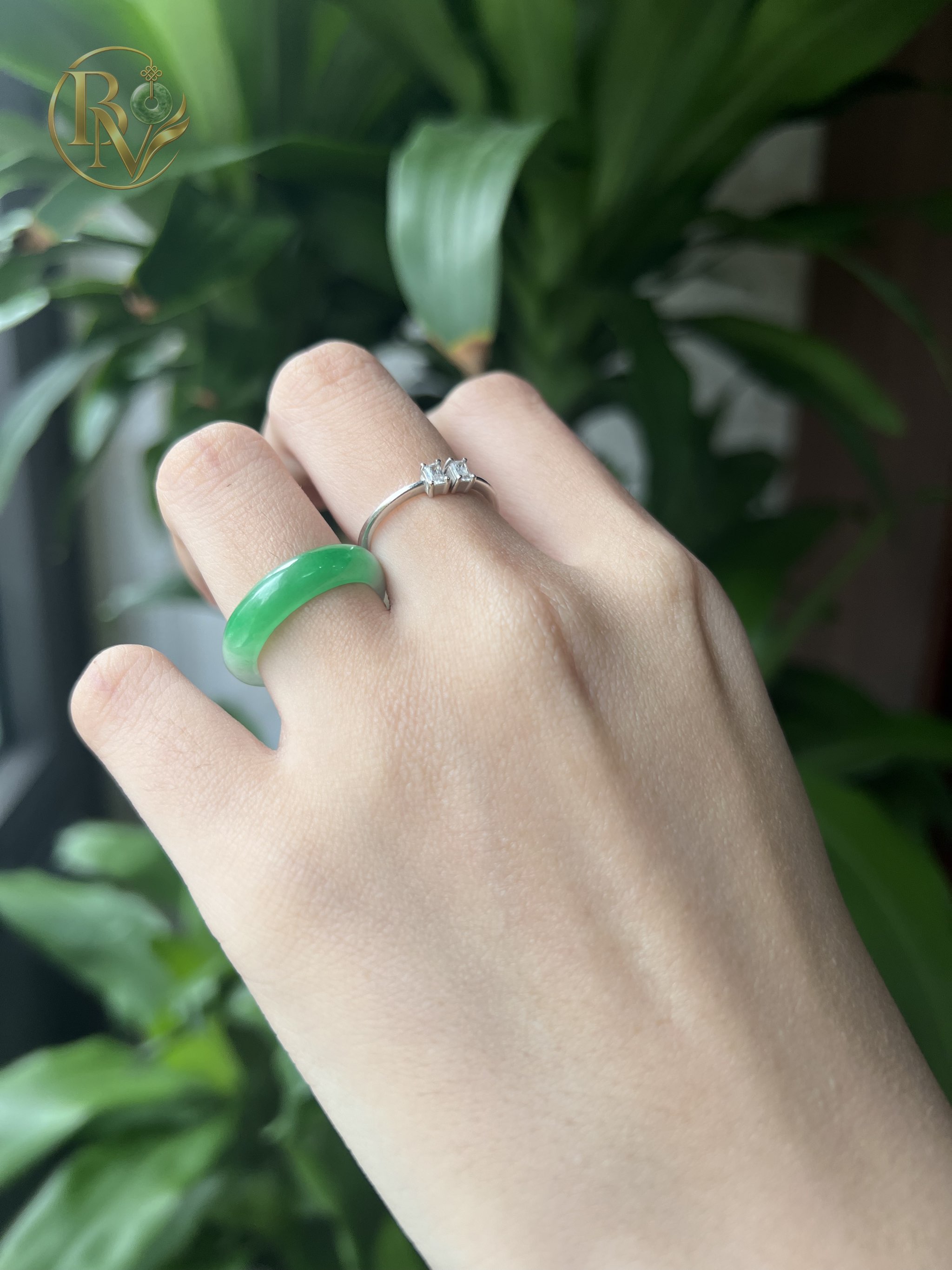 Nhẫn bản hẹ Bạch Đế Thanh Ni nhiều size