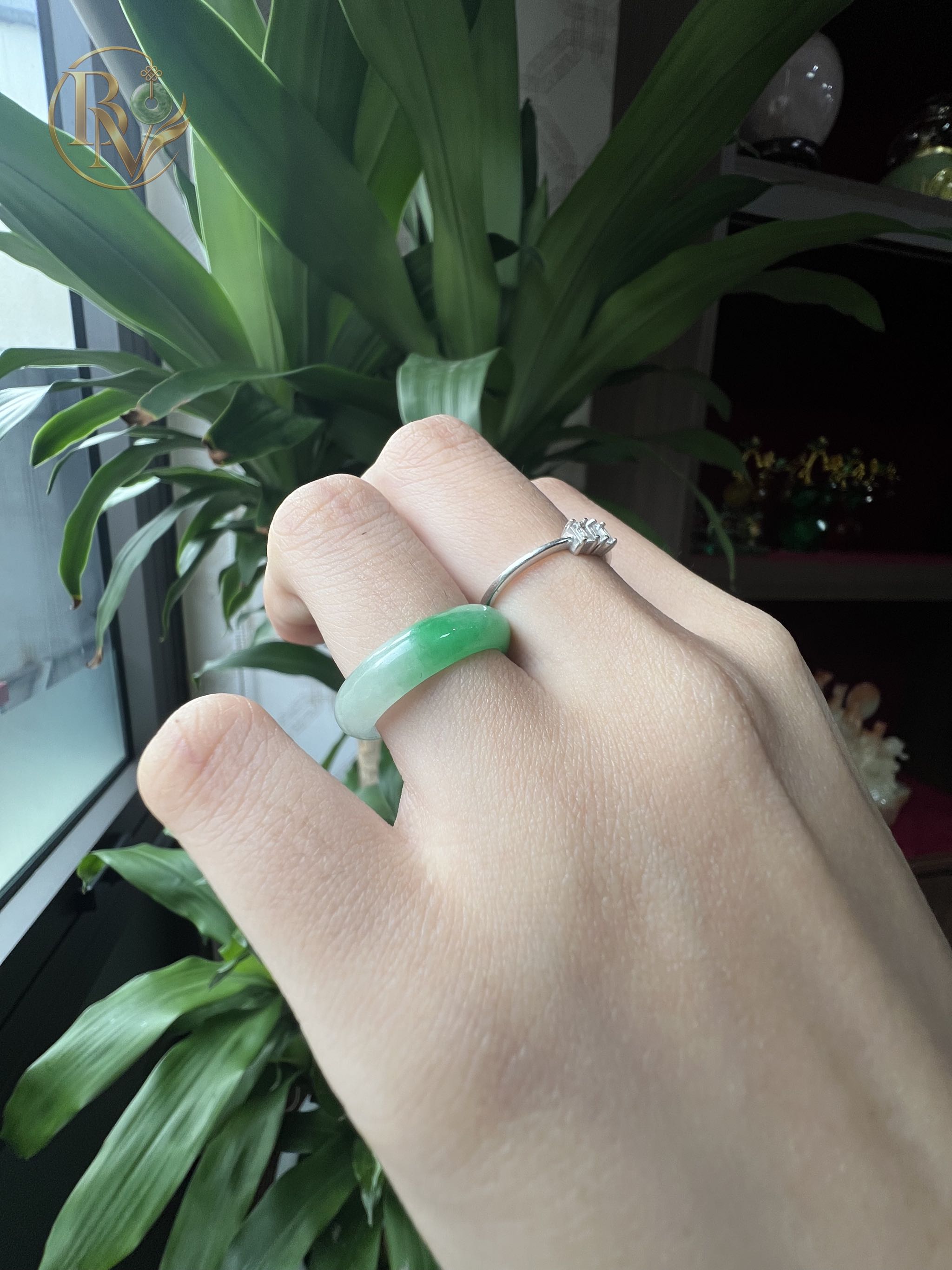 Nhẫn bản hẹ Bạch Đế Thanh Ni nhiều size