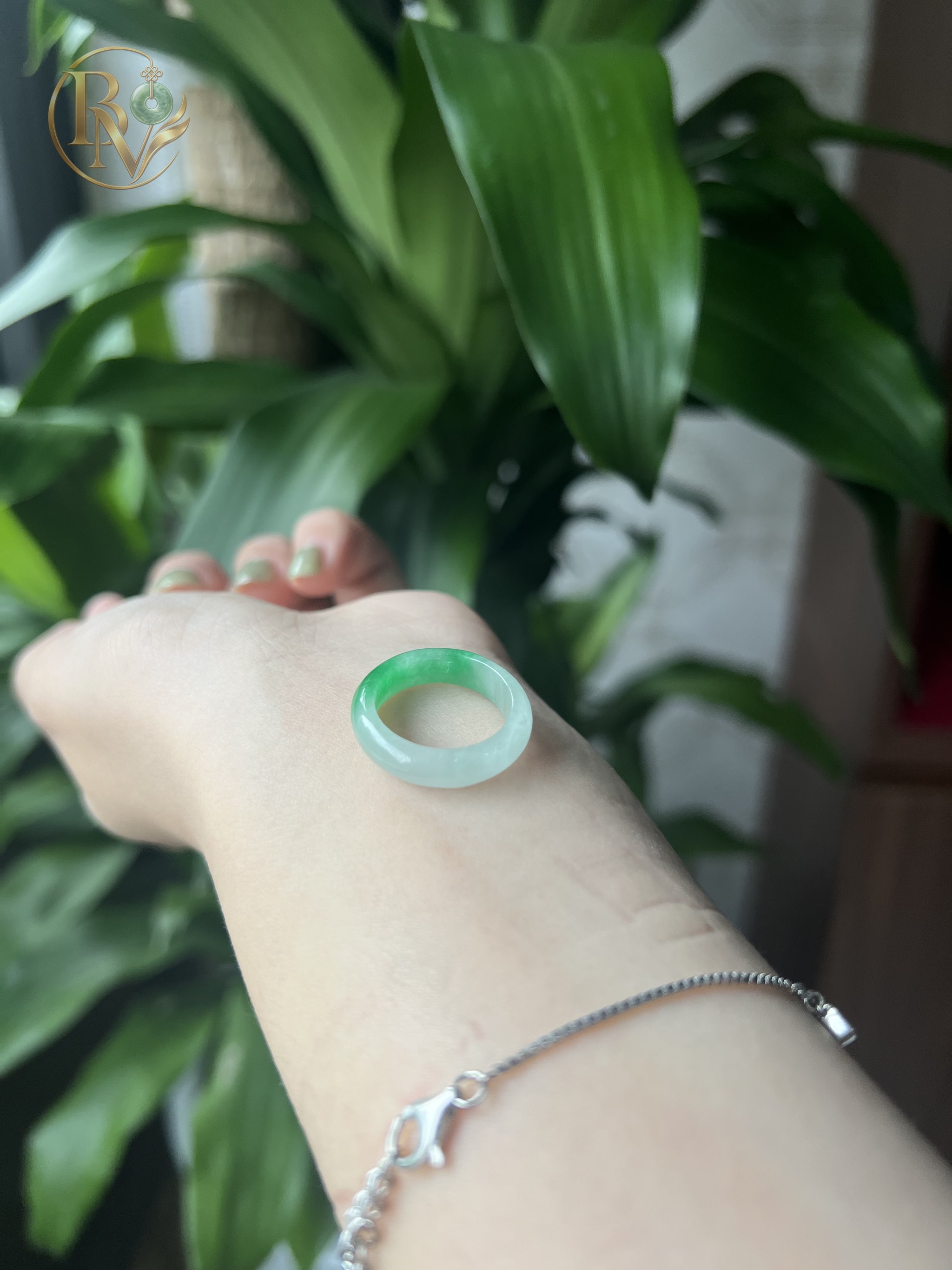 Nhẫn bản hẹ Bạch Đế Thanh Ni nhiều size