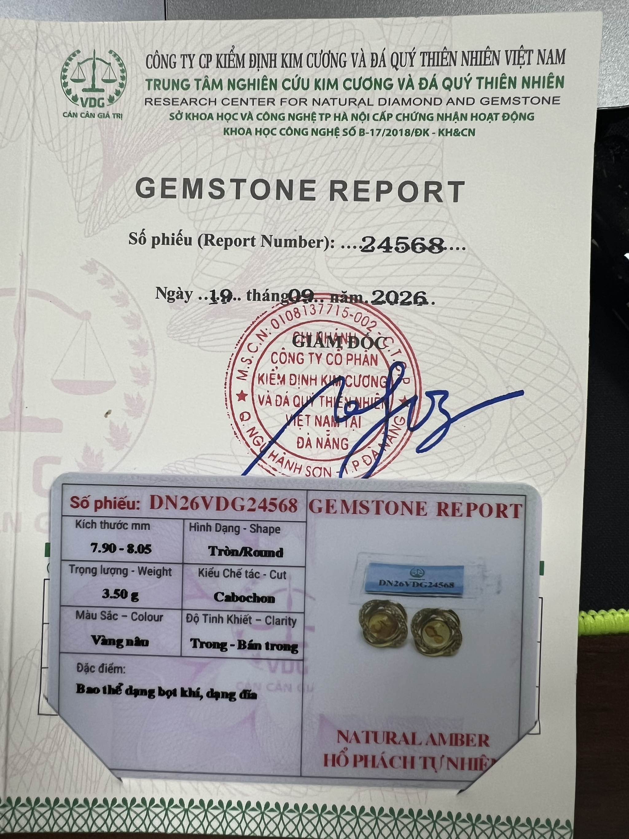 Bông tai Đồng Tâm Kết đá Hổ Phách