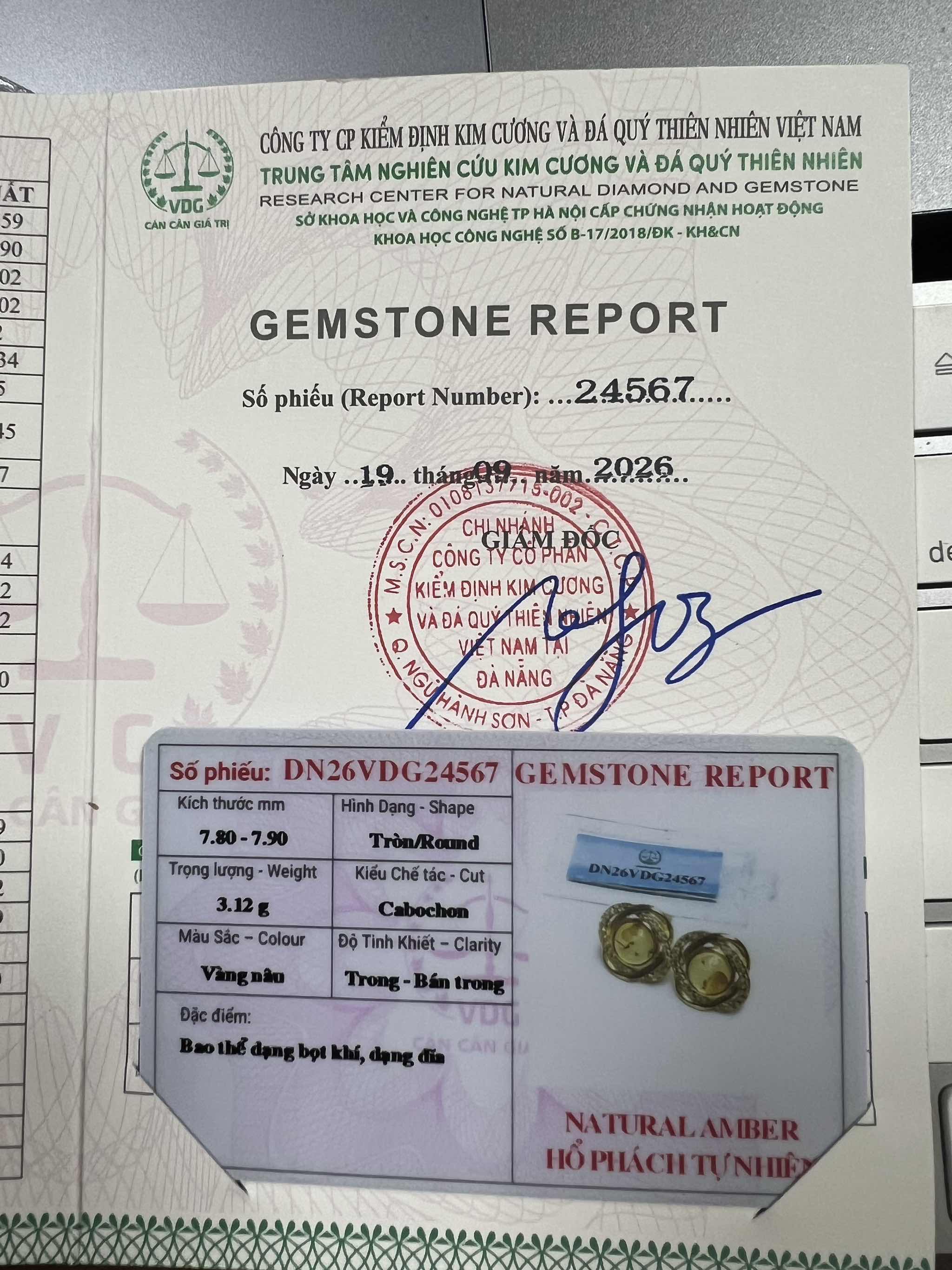 Bông tai Đồng Tâm Kết đá Hổ Phách