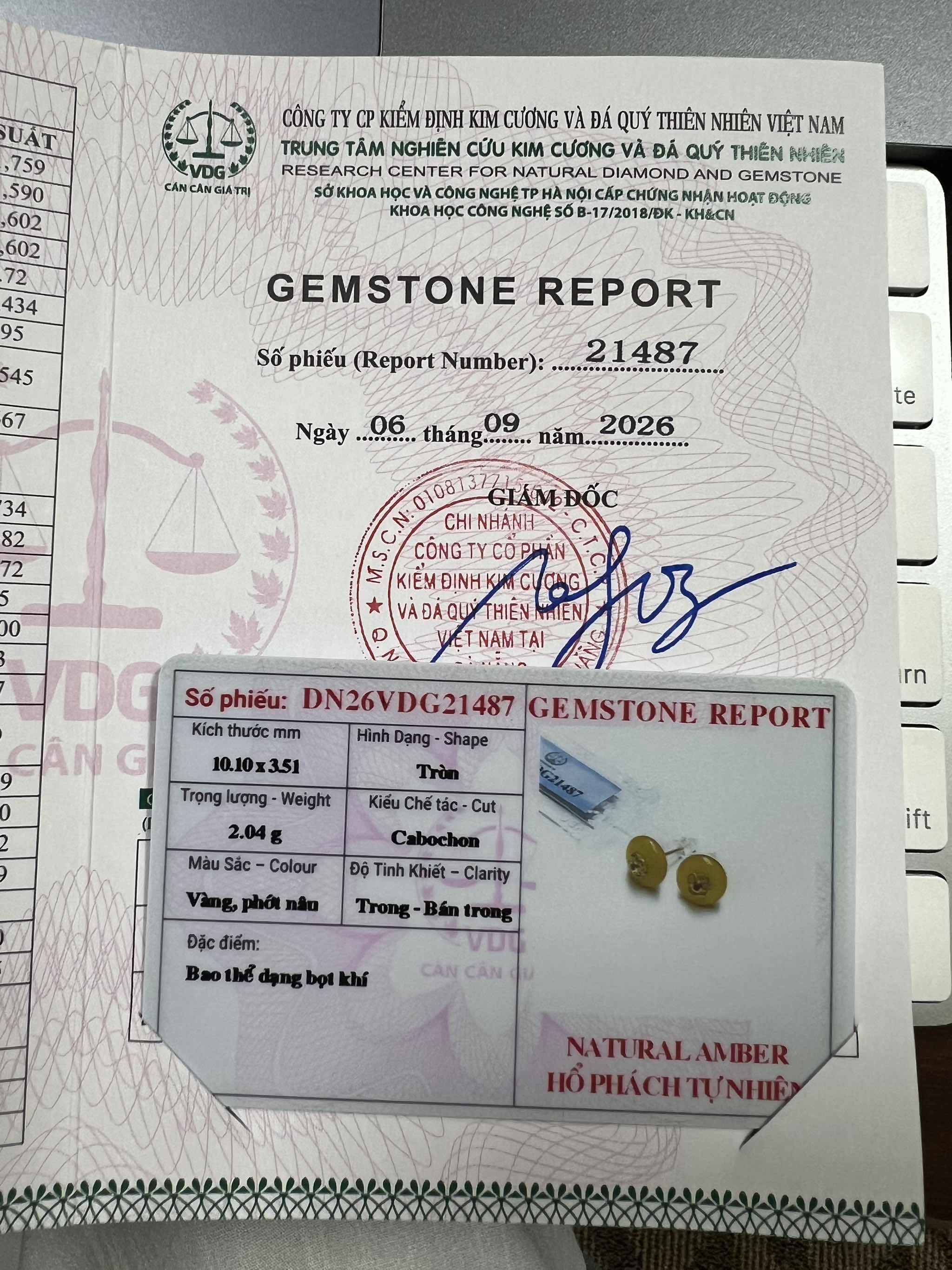 Bông tai Hổ Phách Đồng Điếu