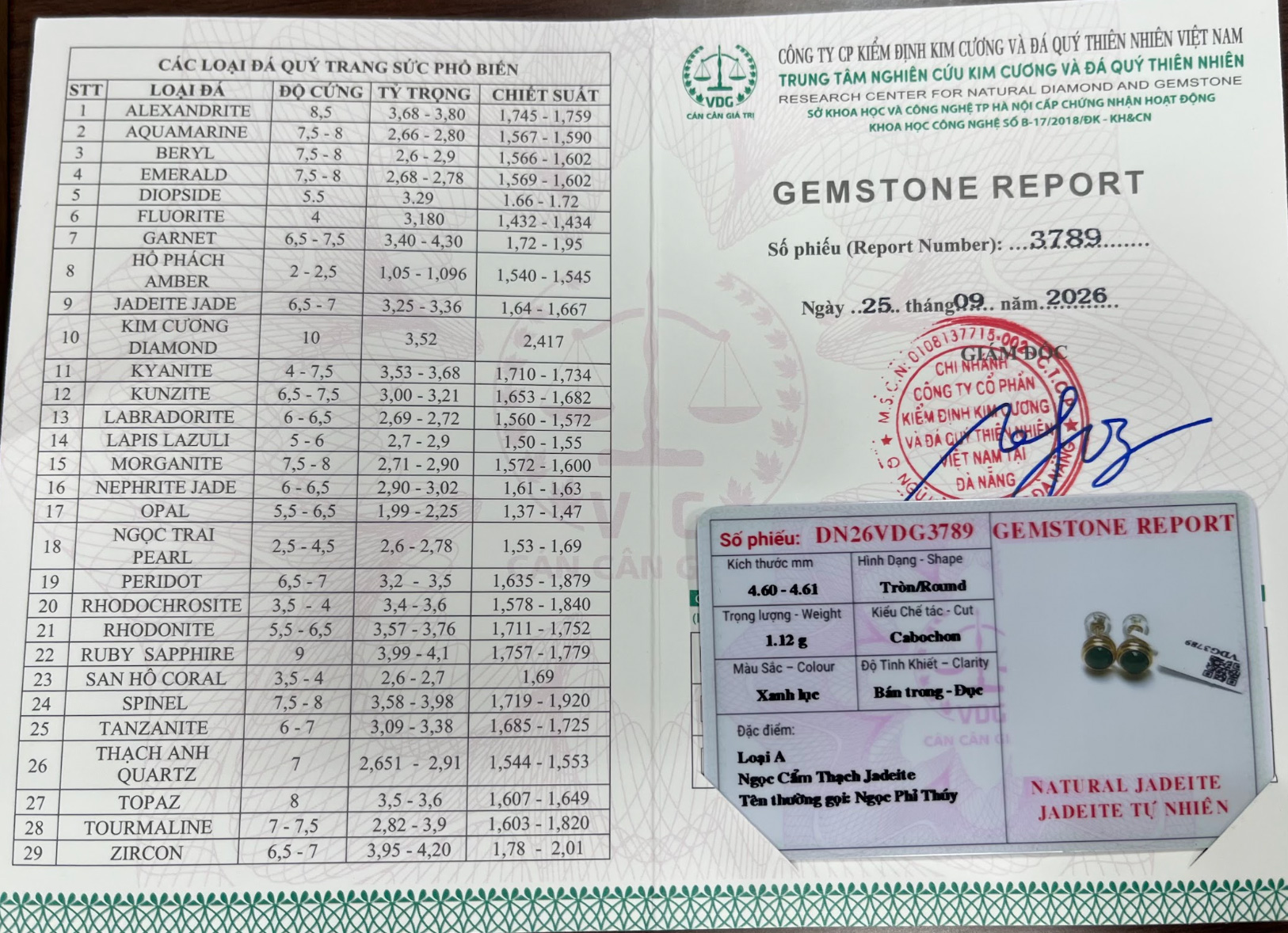 Bông tai Ngọc Phỉ Thuý Type A Lục Lam