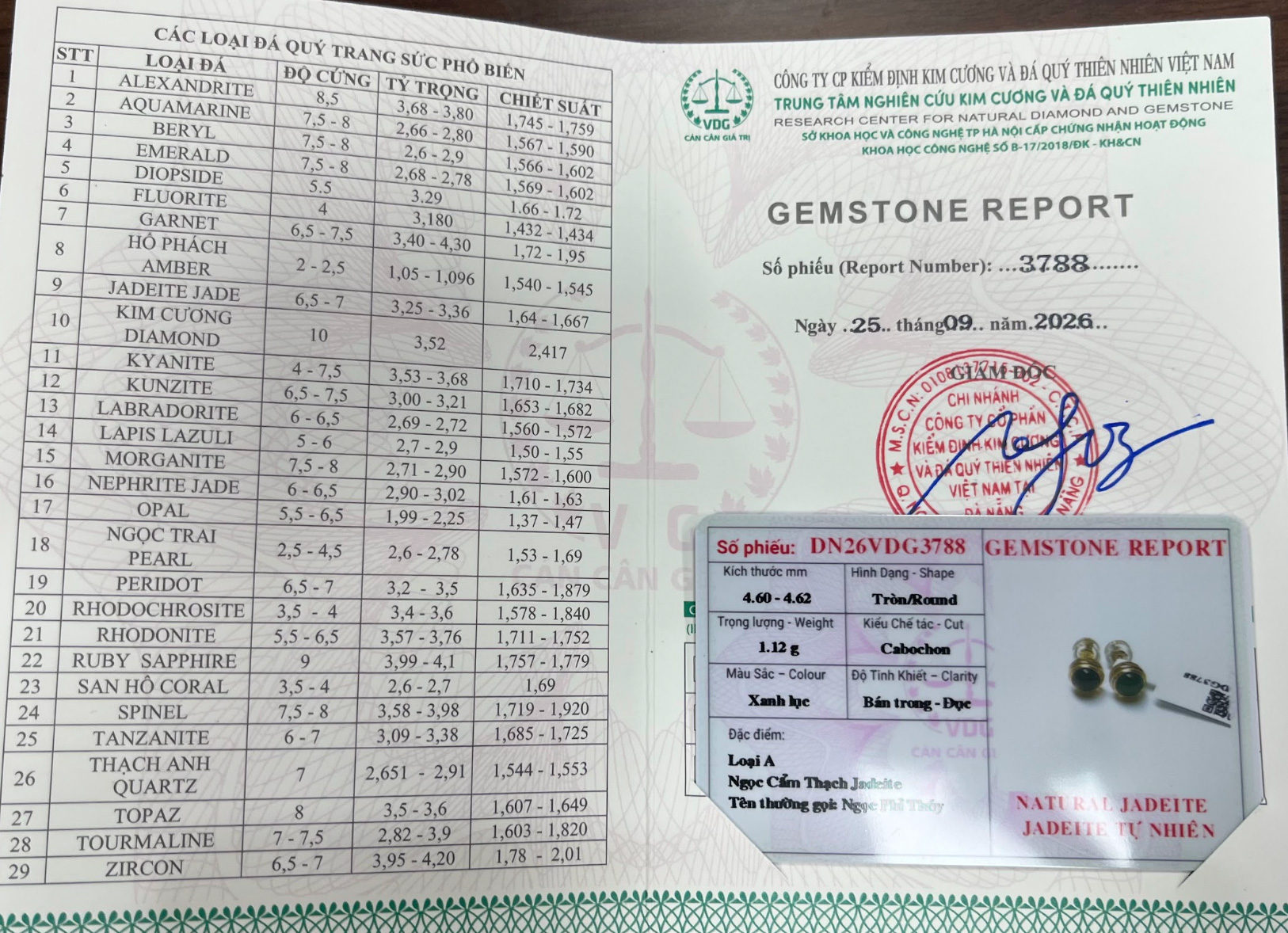 Bông tai Ngọc Phỉ Thuý Type A Lục Lam