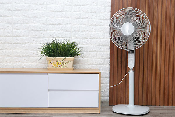 Quạt cây hay quạt trần tốn điện hơn? Khi nào nên dùng quạt cây và khi nào nên dùng quạt trần?