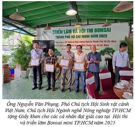 Bonsai mini TP.HCM 2025: Nghệ thuật lớn trong một dáng cây nhỏ